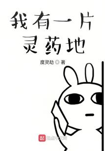 属鼠的跟那个生肖合适