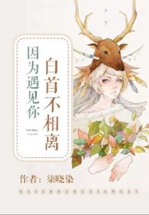 属马2022年喜颜色