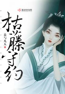 什么生肖像乌龟